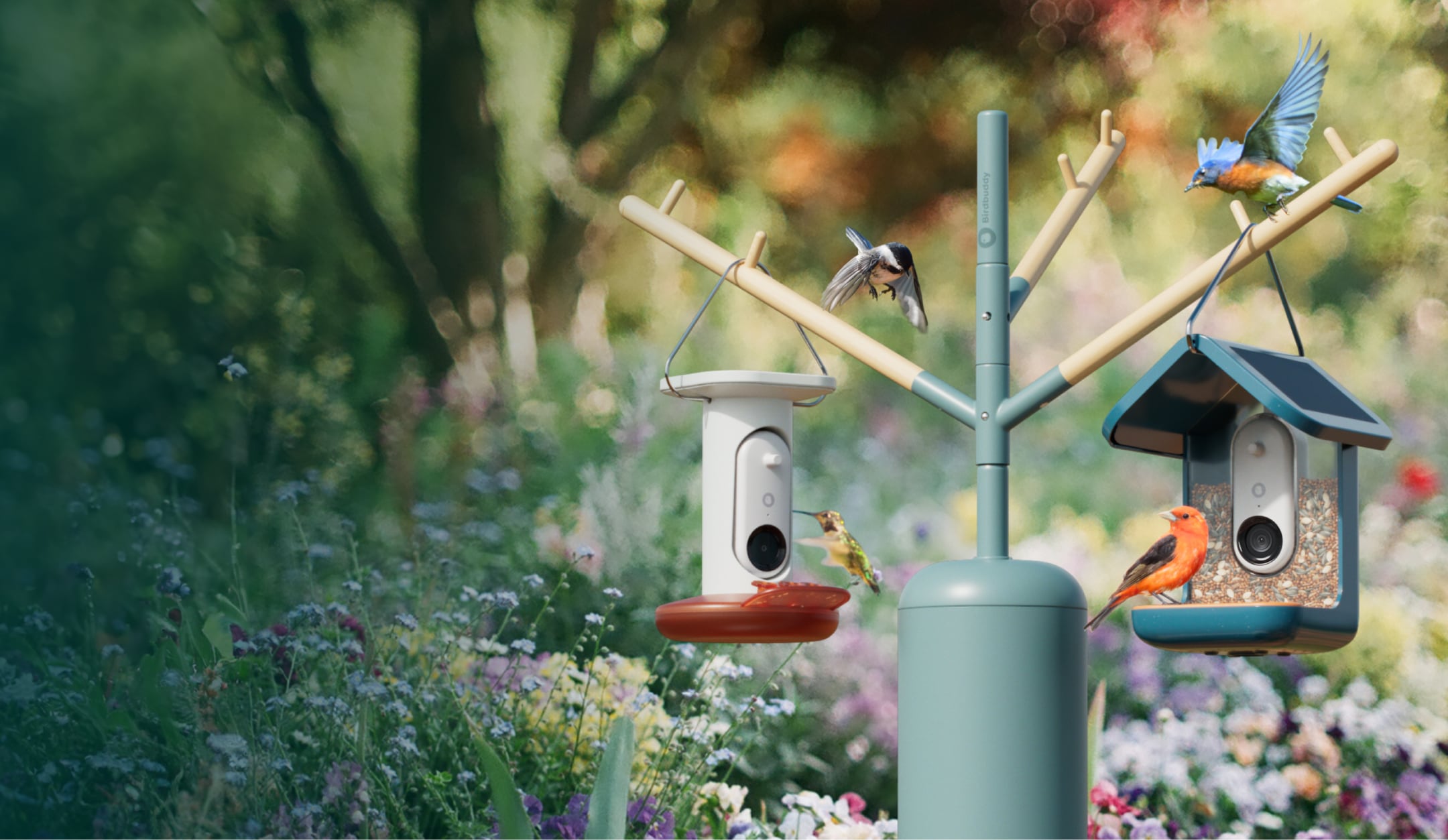 Nature Station