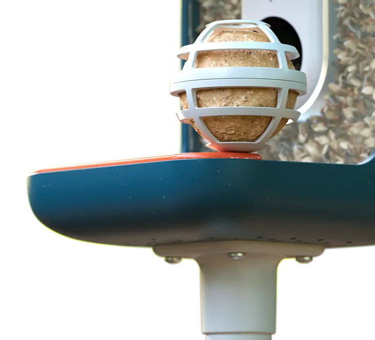 ball on a blue bird house