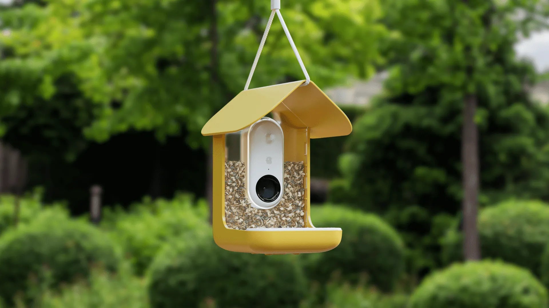 hanging bird house