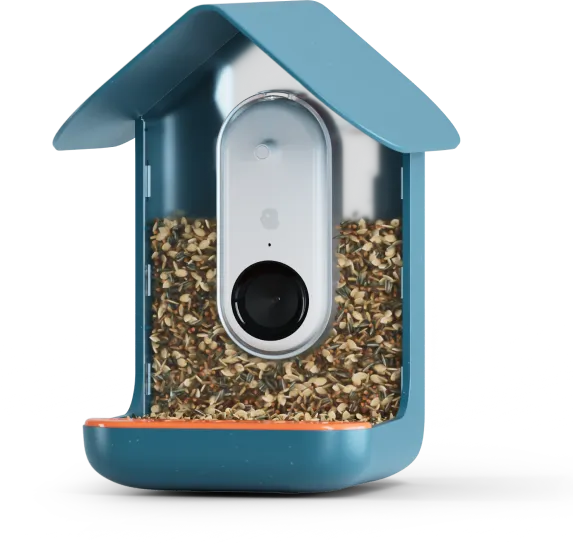 bird house