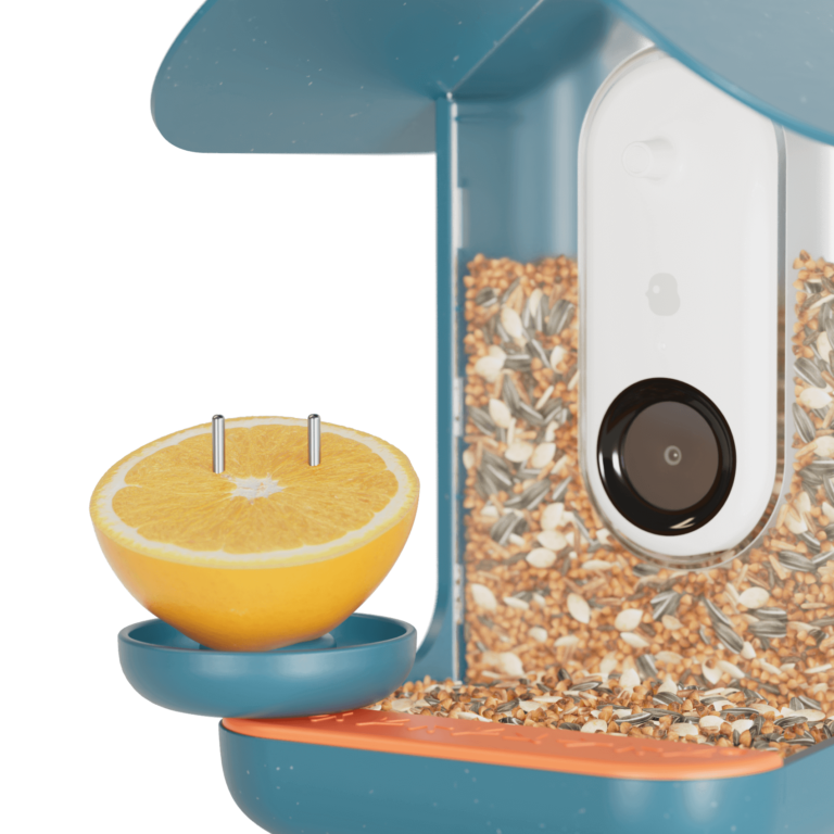 Birdbuddy_smart_bird_feeder_blue_3-in-1_2.png