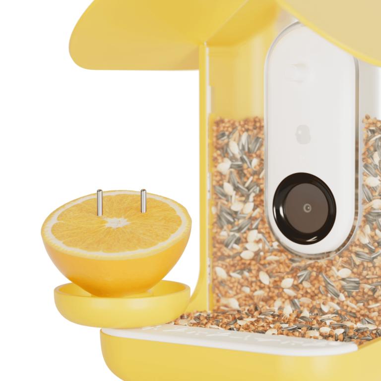 Birdbuddy_smart_bird_feeder_yellow-3-in-1_2.png
