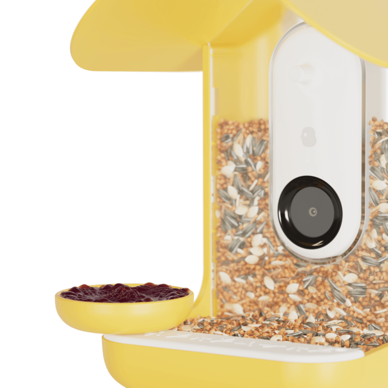 Birdbuddy_smart_bird_feeder_yellow_3-in-1_3.png