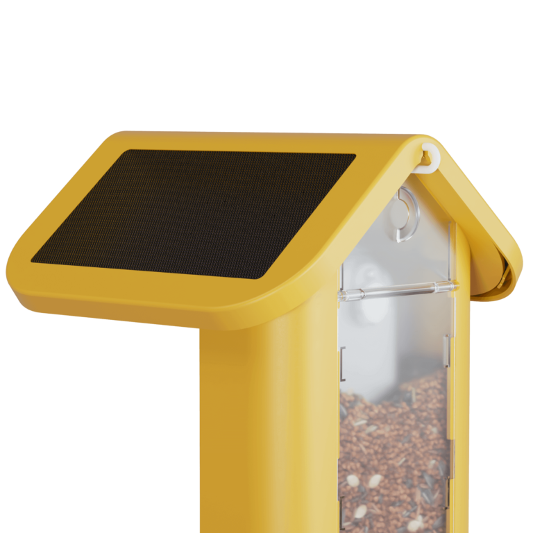 Birdbuddy_smart_bird_feeder_yellow_solar_roof.png