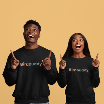 Colorful Logo Sweatshirt