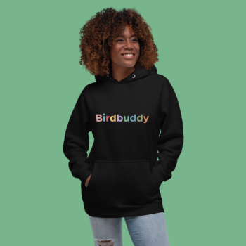 Colorful Logo Hoodie