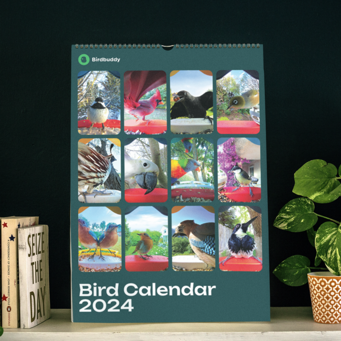 2024 Bird Calendar - Image 5