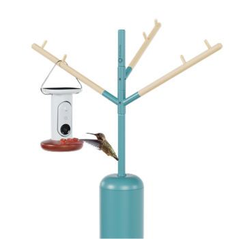 Special Easter Bundle