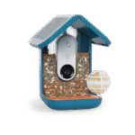 Special Summer Bundle