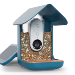 Smart Bird Feeder PRO Solar