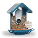 Gift of the Year Bundle