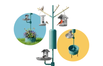 Nature Station Bloom