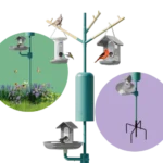 Nature Station Essential