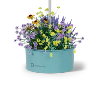 Pollinator Pot