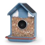 Birdbuddy Home
