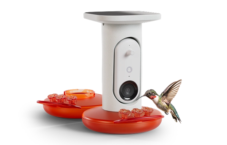 Birdbuddy